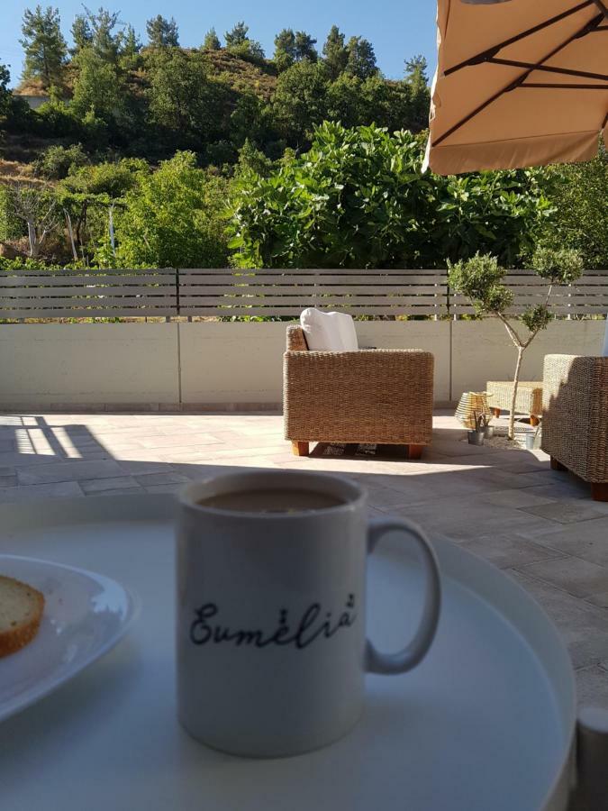 Evmelia Kakopetria Suites Bagian luar foto